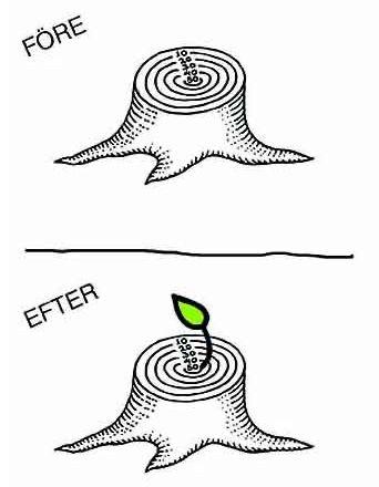 Logotyper och egna projekt